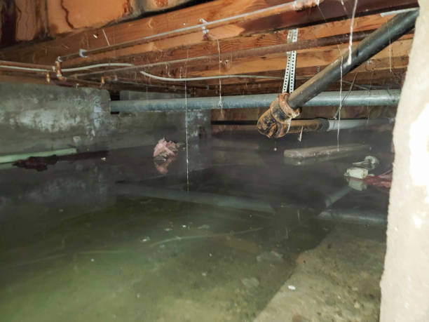 Best 24/7 water damage repair  in Birch Bay, WA