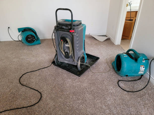 Trusted Birch Bay, WA Water damage restoration Experts
