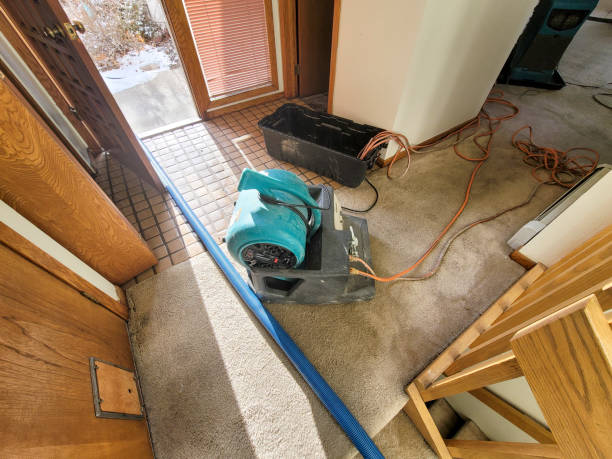 Local water damage restoration in Birch Bay, WA