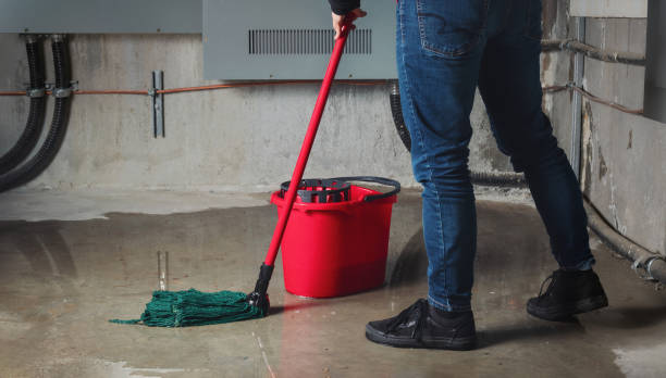 Best Water damage restoration near me  in Birch Bay, WA