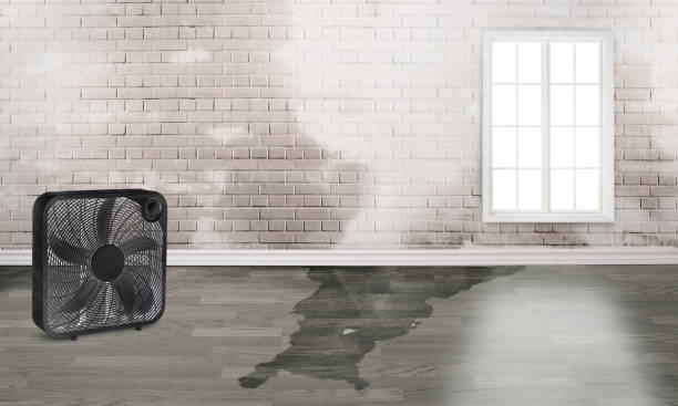 Water damage restoration experts in Birch Bay, WA
