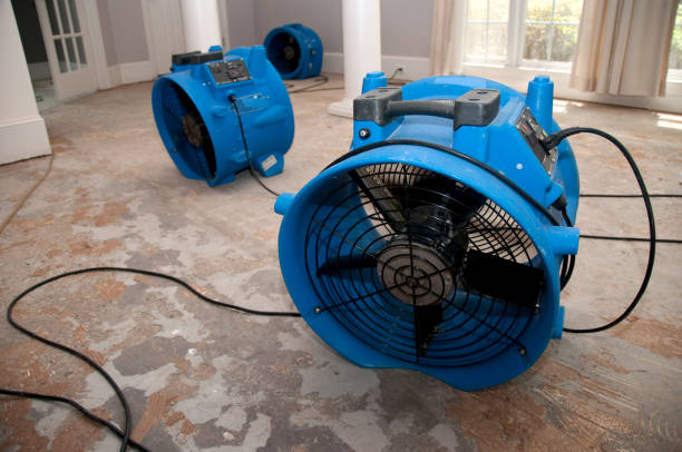 Best Flood restoration services  in Birch Bay, WA