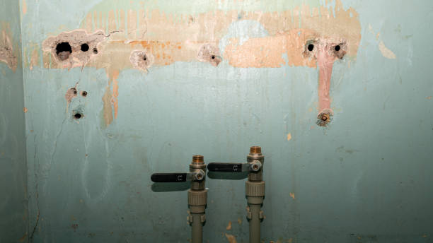 Best Sewage cleanup and water damage restoration  in Birch Bay, WA