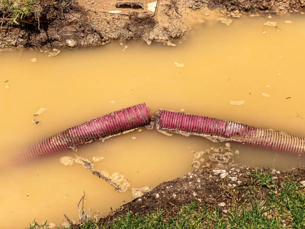 Best Residential water damage restoration  in Birch Bay, WA