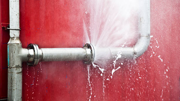 Best 24-hour water damage restoration  in Birch Bay, WA