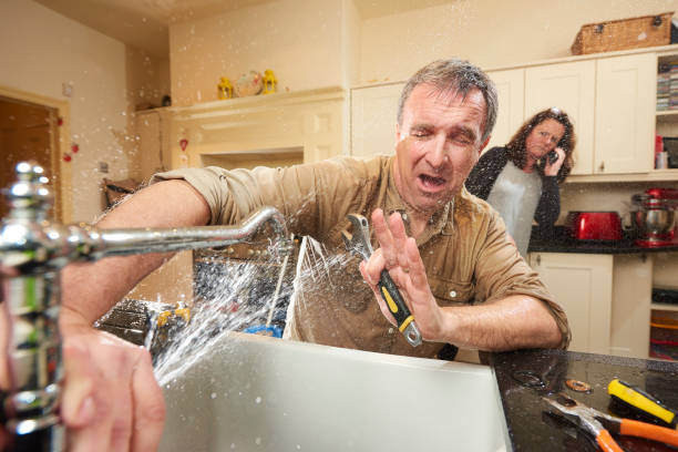 Best Mold removal after water damage  in Birch Bay, WA